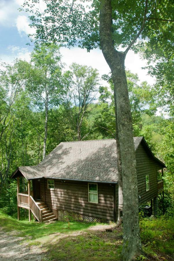 The Sassafras Breeze Villa Topton Eksteriør billede